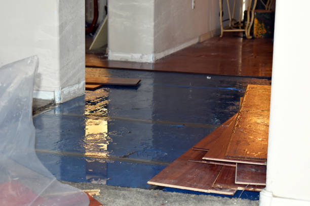 Professional Basement Flood Cleanup technician working in Meadville, PA
